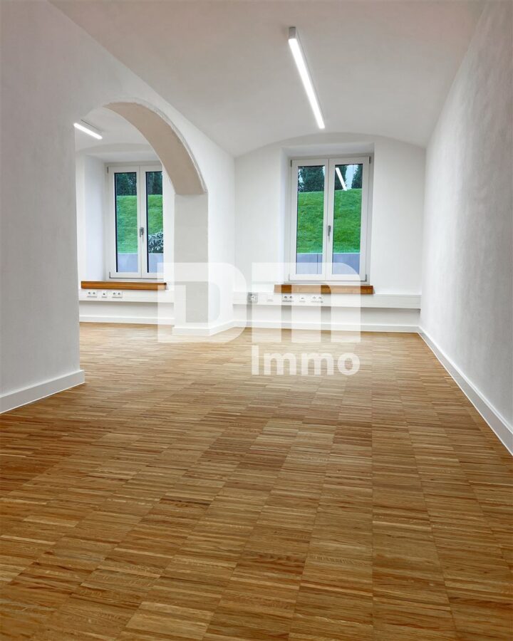 Repräsentative Büroflächen Erstbezug im historischen „Quartier Magazinhof“ auch teilbar - Bürobereich Souterrain